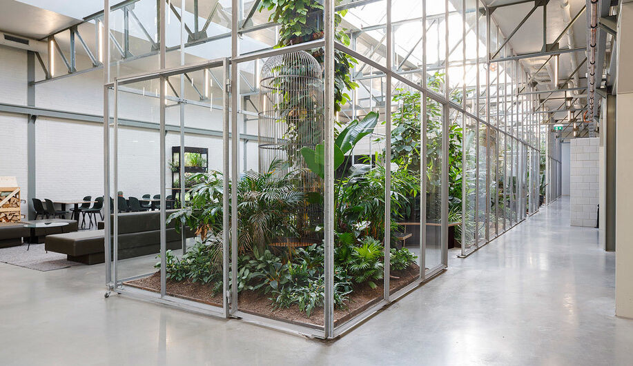 Biophilia, a new way of thinking about workplace design