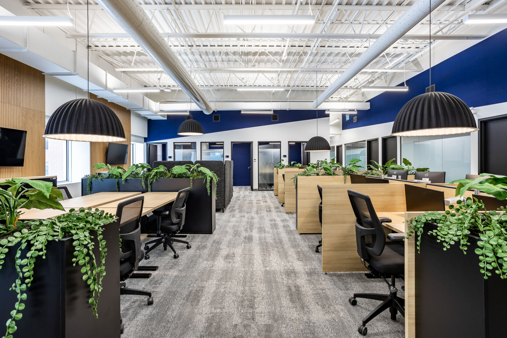 Major Project: a Dynamic and Attractive Space for Employees and Clients