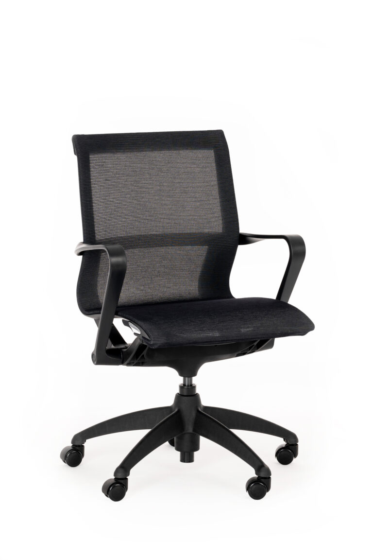 Hanso chair medium back